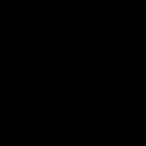 Meet your Posher, Sacha